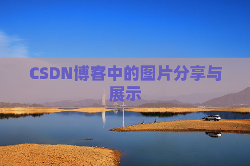 CSDN博客中的图片分享与展示